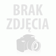 Piatto japońskie